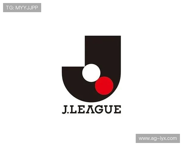 爱游戏体育登录入口在线,官方认证入口保障账号安全