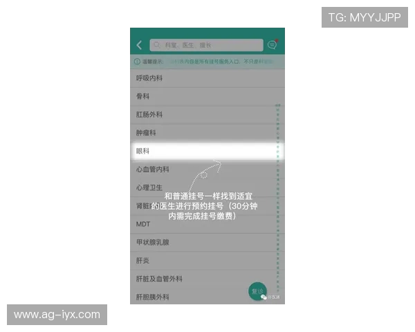 二八杠玩法新手指南：从入门到精通的详细操作步骤与实用技巧