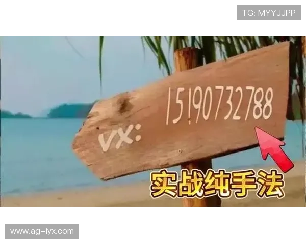 掌握三公游戏玩法的关键技巧，轻松提升你的胜率与游戏体验